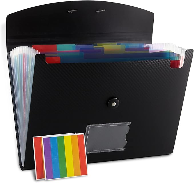 Nicfaec Expanding File Folder, 13 Pockets, Polypropylene by Nicfaec