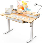 Kingant 48 x 24 Inch Electric Standing Desk by KINGANT