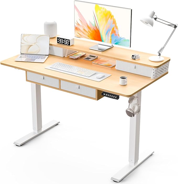 Kingant 48 x 24 Inch Electric Standing Desk by KINGANT