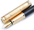 Picasso 902 Gentleman Collection Fountain Pen Original Box by czxwyst