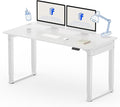 FLEXISPOT 4 Legs Standing Desk 55 x 28 Inch Electric Adjustable Height by FlexiSpot