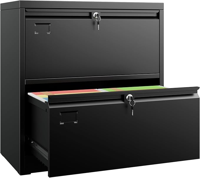SUXXAN Metal 2 Drawer Lateral File Cabinet by SUXXANFurniture