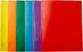 Amazon Basics Heavy Duty Plastic Folders by AmazonBasics