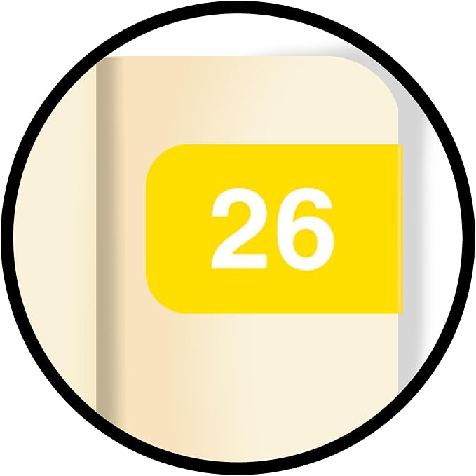2026 MINI Year Labels, Doctor Stuff 2026 Chart Stickers, Ames Small Style - Image 9