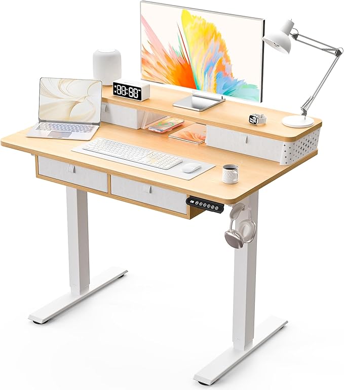 Kingant 40 x 24 Inch Electric Standing Desk by KINGANT