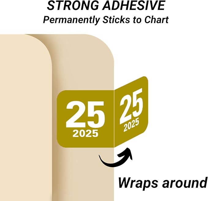 2025 Year Labels, Doctor Stuff 2025 Chart Stickers, Col'R'Tab/Tabbies Style - Image 3