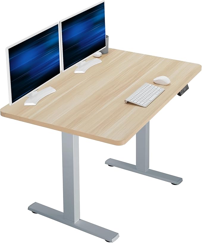 VIVO Electric 48 x 30 in Standing Desk, Memory Height Adjustment, 1B Series by VIVO