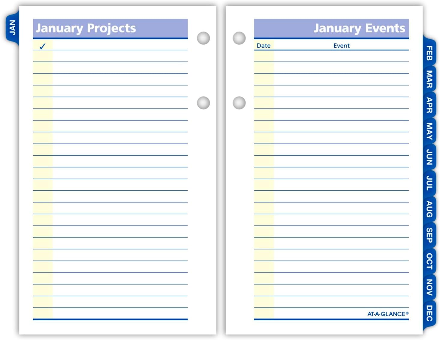 AT-A-GLANCE 2025 Desk Calendar Refill, Daily, 3-1/2" x 6", Standard, Loose-Leaf, QuickNotes (E5175025)