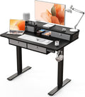 Kingant 40 x 24 Inch Electric Standing Desk by KINGANT