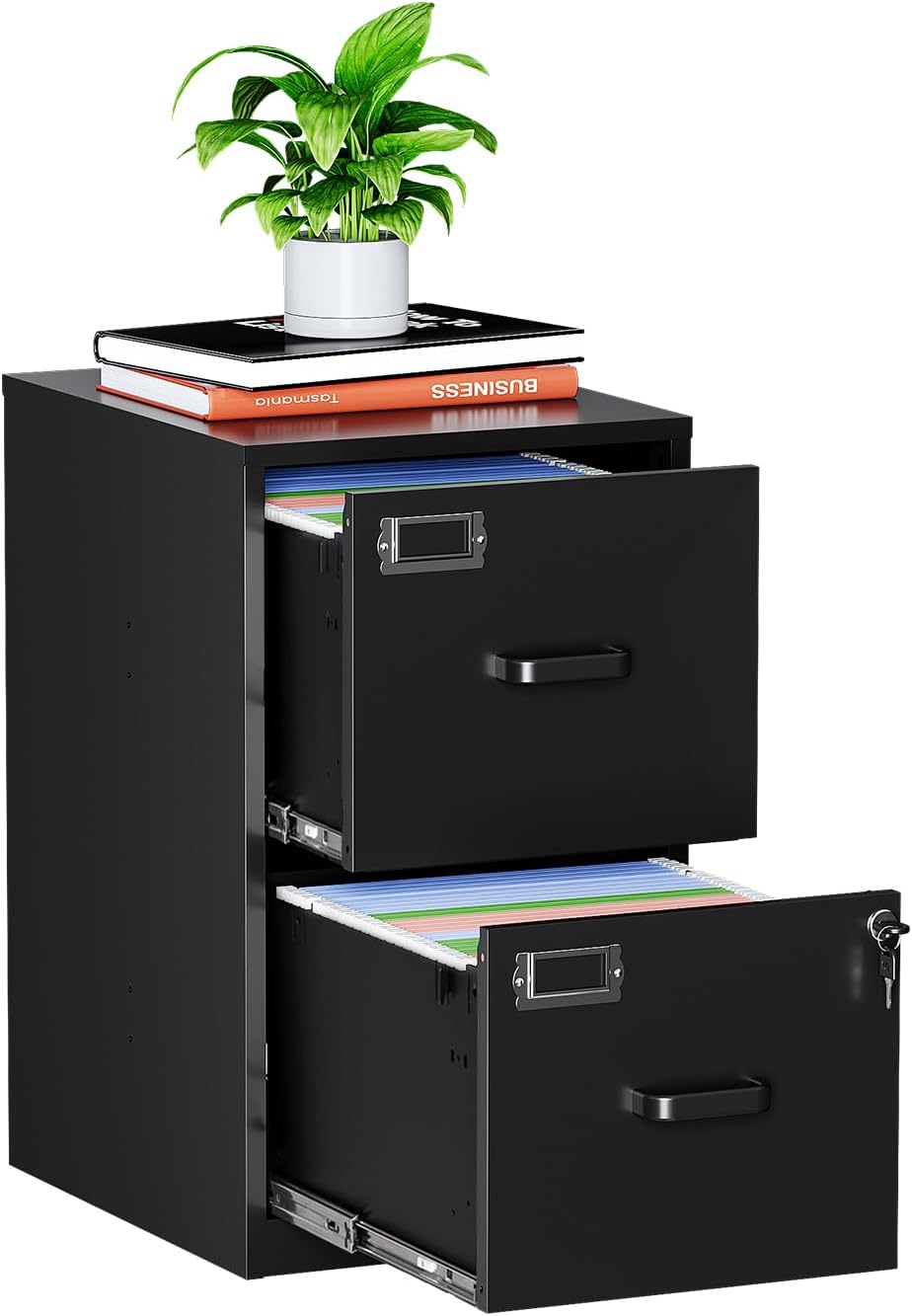 MIIIKO 2 Drawer File Cabinet with Lock, Metal Locking Filing Cabinets for Hom...
