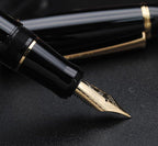 xixixiaozhu Metal Big Fountain Pen, Medium Nib 0.7mm, Includes Ink Converter & - Image 8