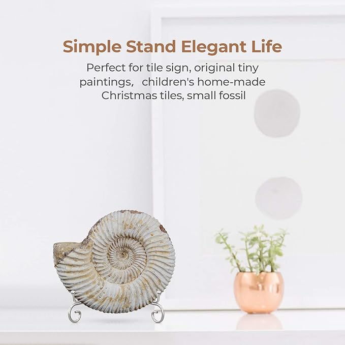 TR-LIFE Plate Stands for Display - Image 5