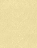 LUXPaper 8.5" x 11" Paper | Letter Size | Gold Parchment | 60lb. Text | 250 Qty by LUXPaper