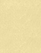 LUXPaper 8.5" x 11" Paper | Letter Size | Gold Parchment | 60lb. Text | 250 Qty by LUXPaper
