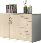 Cabinet File Cabinet Wooden Storage Cabinet Two Doors Four Storage Cabinets Data Storage Cabinet 4ft Office File Cabinet with Lock