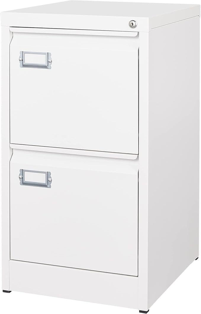BYNSOE 2 Drawer File Cabinet by BYNSOE
