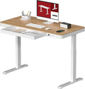 Standing Desk with Drawer, Electric Height Adjustable Home Office Desk with