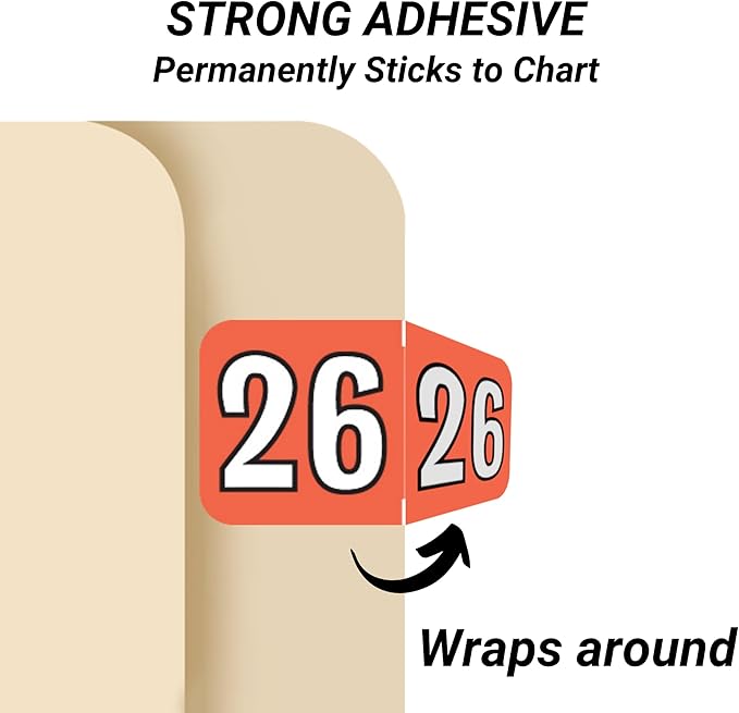 2026 Year Stickers, Doctor Stuff 2026 Chart Stickers, Coral/Black Color Coded - Image 2