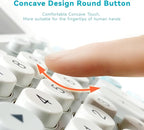 OSALO Desktop Calculator Extra Large Display 12-Digit Big Buttons Accounting - Image 4