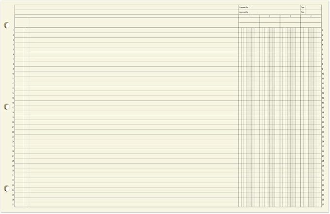 BookFactory Ledger Sheets/Large 4 Column Accounting Ledger Columnar Loose Leaf - Image 2
