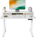 FEZIBO 40 x 24 Inch Height Adjustable Electric Standing Desk by FEZIBO