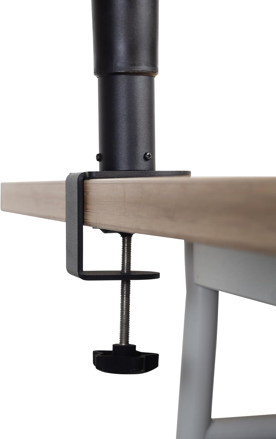 Gator Frameworks Desktop Clamp-On Studio Monitor and Speaker Stand with EVA F...