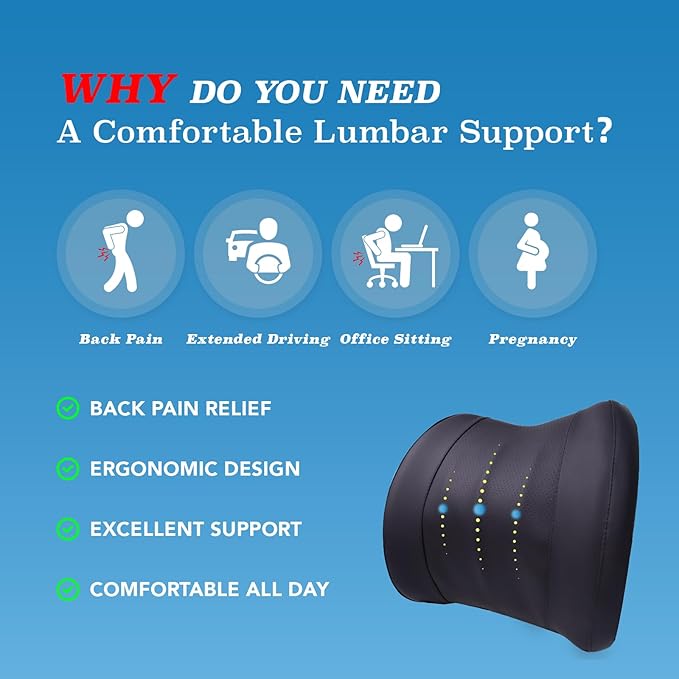 Lofty Aim Lumbar Support Pillow - Image 3