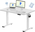 FLEXISPOT EN1 One-Piece Standing Desk
