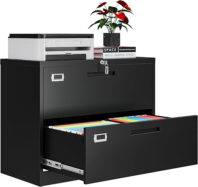AFAIF 2 Drawer File Cabinets for Home Office, Metal Filing Cabinet by AFAIF