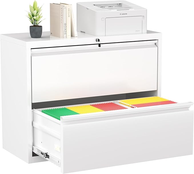 Greenvelly 2 Drawer File Cabinet, Metal Filing Cabinet by Greenvelly
