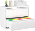Greenvelly 2 Drawer File Cabinet, Metal Filing Cabinet by Greenvelly