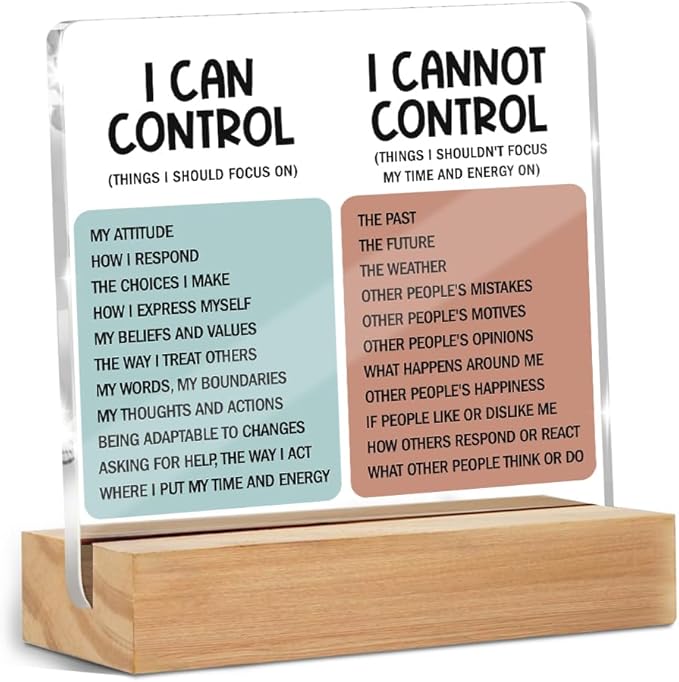 Mental Health Desk Decor Things I Can Control Acrylic Sign, Inspirational Gifts by ZHAMEN