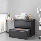 Approgreent 2 Drawer File Cabinet, File Cabinets for Home Office, Printer Stand, File Cabinet with Lock, Lateral Filing Cabinet for A4/Letter/Legal Size File Folders, Assembly Required(Black)