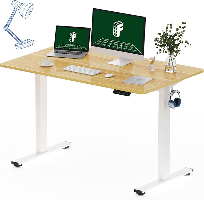 FLEXISPOT One-Piece Electric Standing Desk, 48 x 30 Inches Adjustable Desk by FlexiSpot