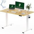 FLEXISPOT One-Piece Electric Standing Desk, 48 x 30 Inches Adjustable Desk by FlexiSpot