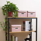 PRANDOM Collapsible Storage Boxes - Image 4