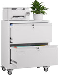 METAN Upgrade 2 Drawers Lateral File Cabinet on Wheels, Steel Office Filing by METAN