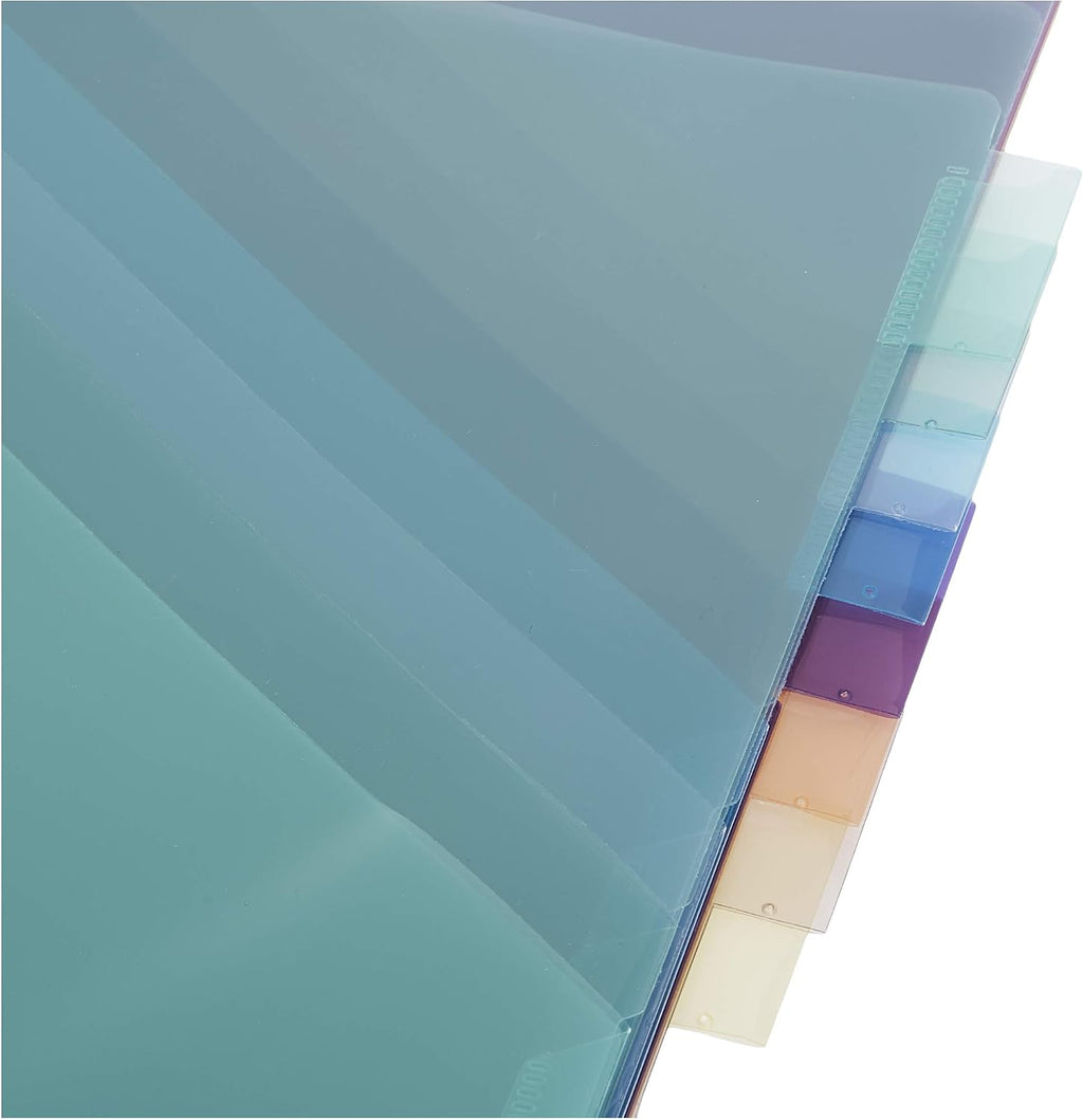 Amazon Basics Tab Dividers for 3 Ring Binder, Two Pocket, Letter Size, Transparent Assorted Colors, 24 Count (Pack of 2)