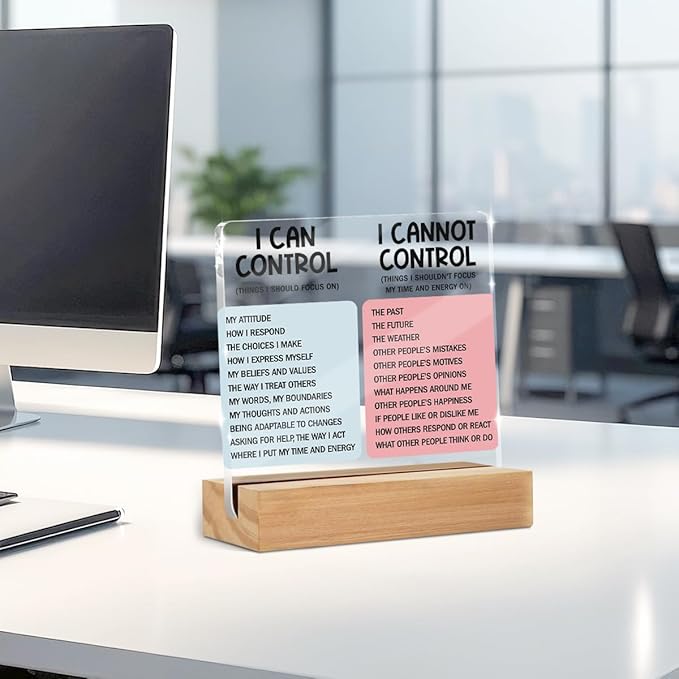 Mental Health Desk Decor Things I Can Control Acrylic Sign, Inspirational Gifts - Image 4