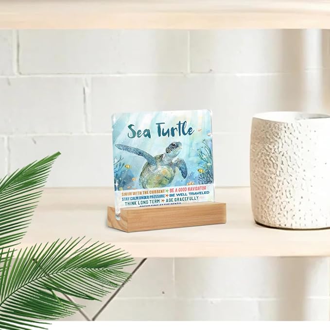Sea Turtle Decor Desk Acrylic Sign 4x4 inch, Turtle Gifts - Image 5