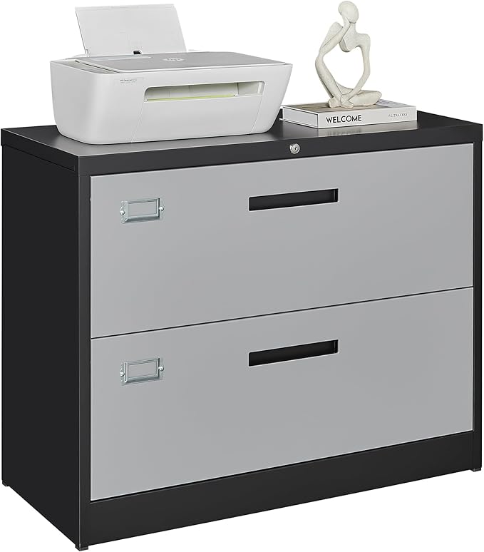 Letaya File Cabinet with Lock-Lateral 2 Drawer Metal Filing by LetayaMetalCabinets