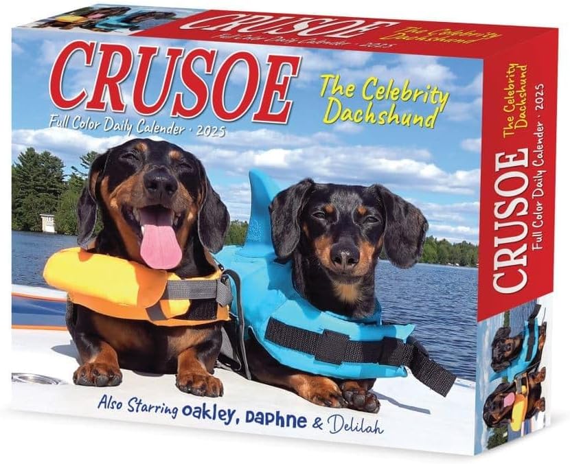 Willow Creek Press, Crusoe the Celebrity Dachshund 2025 Desk Calendar