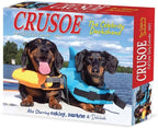 Willow Creek Press, Crusoe the Celebrity Dachshund 2025 Desk Calendar