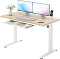 Furmax Electric Standing Desk by Furmax