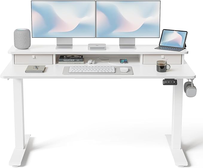 FEZIBO 55 x 24 Inch Height Adjustable Electric Standing Desk by FEZIBO