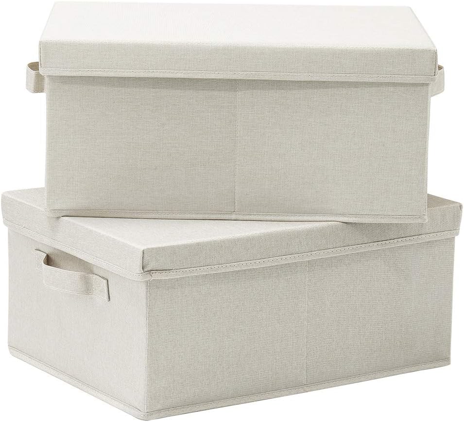 hoonex foldable storage bins with lids, 2 pack, main product view