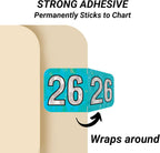 2026 Chart Stickers, Holographic Aqua, End Tab, 3/4 x 1-1/2, 500/Roll | Doctor Stuff 26 Year Stickers & Labels, Permanent-Adhesive USA Made to Stay Put for the Life of the Chart