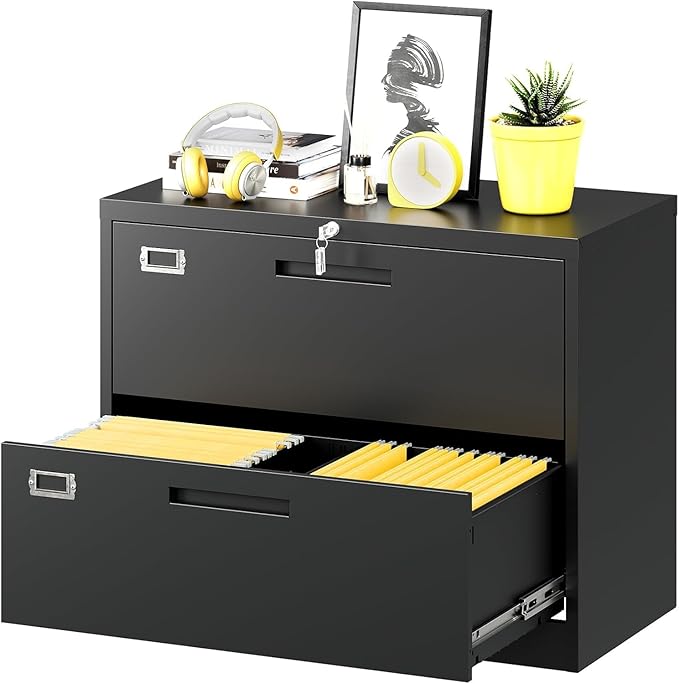 Fesbos Lateral File Cabinet by Fesbos