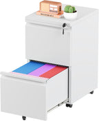 Greenvelly 2 Drawer Mobile File Cabinet by Greenvelly