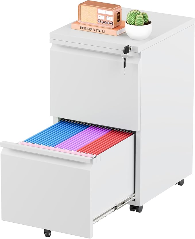 Greenvelly 2 Drawer Mobile File Cabinet by Greenvelly